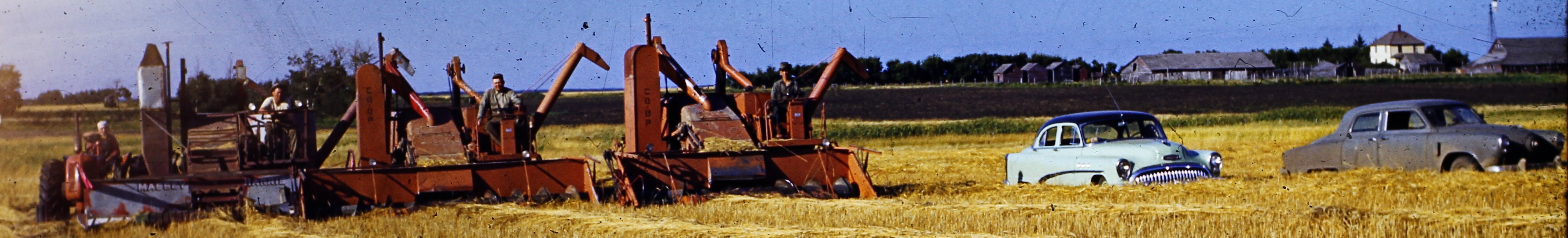 Combining Olstad farm 1950s Oscar Irvin Eldon Ray